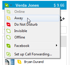 Screenshot of Skype