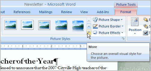 Picture Styles