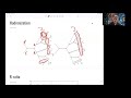 Lecture 5.1: Hadron Production (09:27)