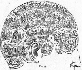 Symbolical head from How to Read Character by Wells.