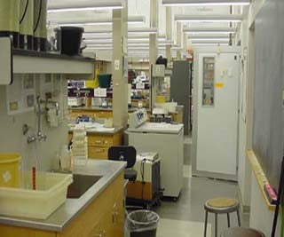 Photo of student laboratory in the Biology Department at MIT.