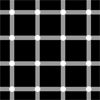 A white grid pattern on a black background, with the illusion of black dots flashing at the intersections of the white grid lines.