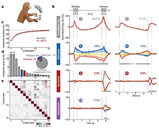 Cartoon of a monkey performing a memory task and 10 graphs depicting the data.