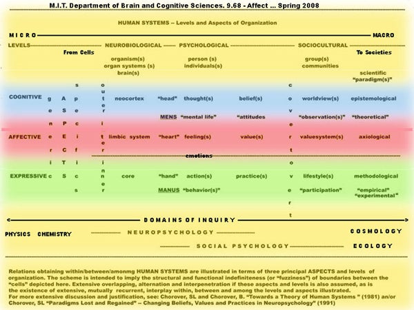 This table depicts human systems in terms of levels and aspects of organization.