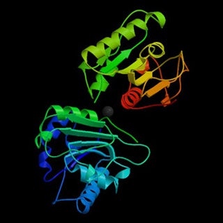 Structural image of protein strucure from PDB database.