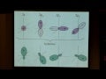 Lecture 15: Valence Bond Theory and Hybridization