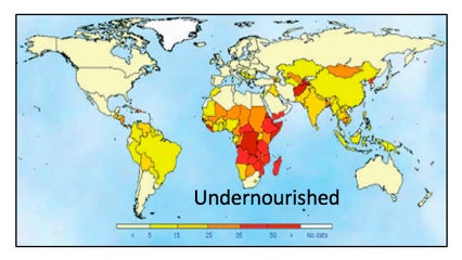 A map showing malnutrition trends and distribution.