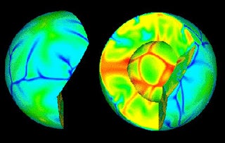 TERRA mantle convection model.