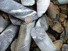 Drill cores with coin for scale.