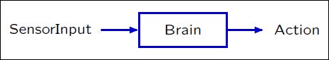 Diagram of sensor input, brain, and action.