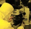 Student adjusting microscope to inspect wafer.