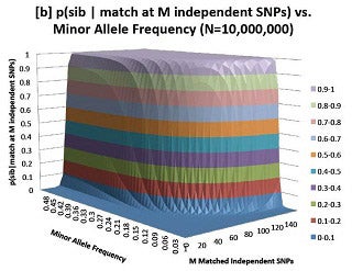 Graph providing evidence for confirming sibling relationship given matches at single nucleotide polymorphism loci.