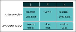 Articulator free and articulator bound elements of the English word 'back.'