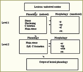 Flowchart of information channeled from lexicon to phonology and morphology.