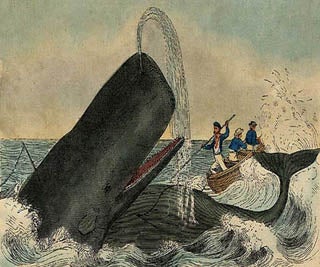 A drawing of men in a small boat trying to harpoon a giant whale.