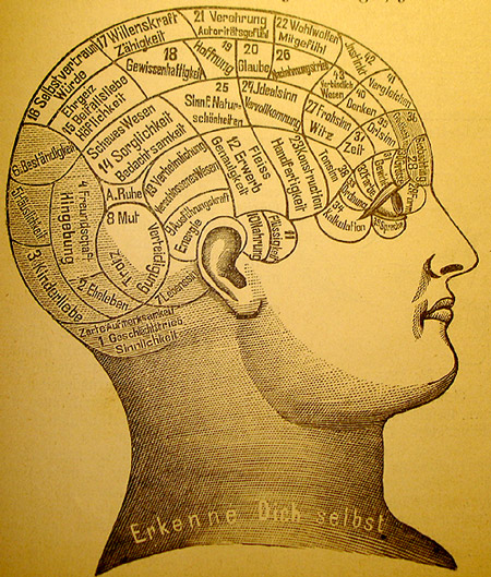 File:Phrenology1.jpg