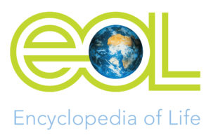 eol_logo_globe-300x193