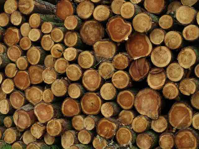Lumber: A Business Product
