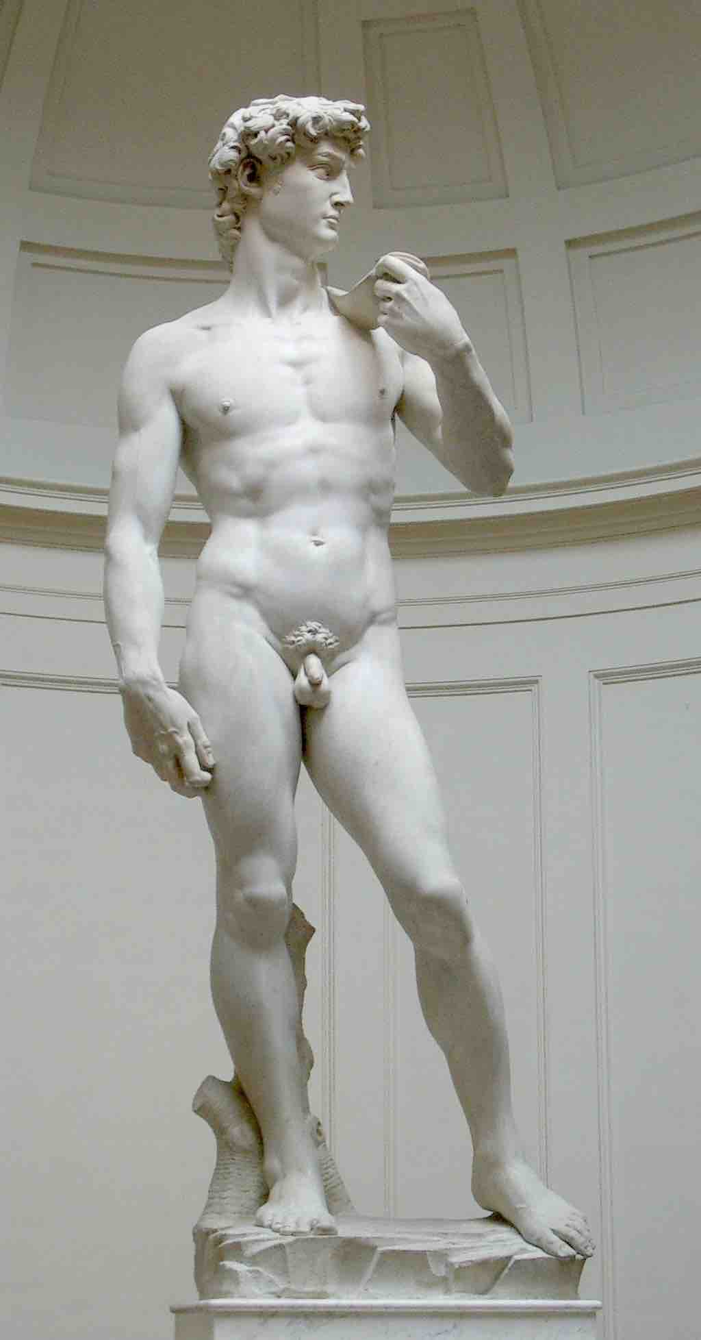 The David by Michelangelo, 1504