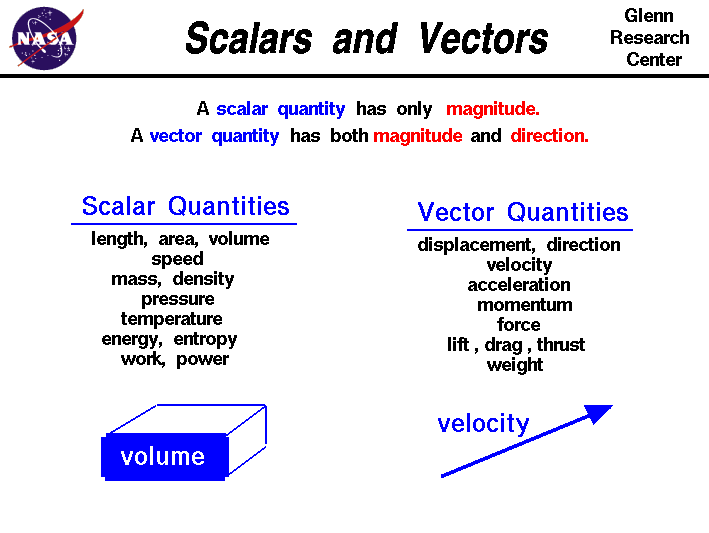 Scalars vs. Vectors