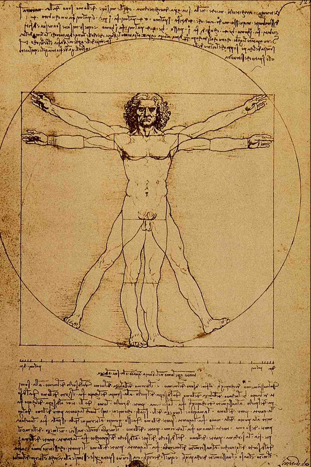 Leonardo da Vinci, <em>Vitruvian Man</em>, 1487