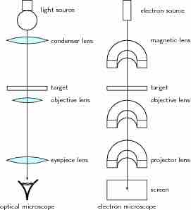 Optical and Electron Microscopes