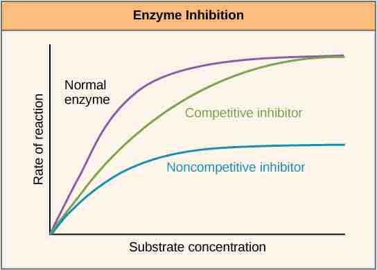 Enzyme inhibition