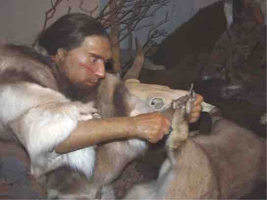 <em>Homo sapiens neanderthalensis</em> Tools