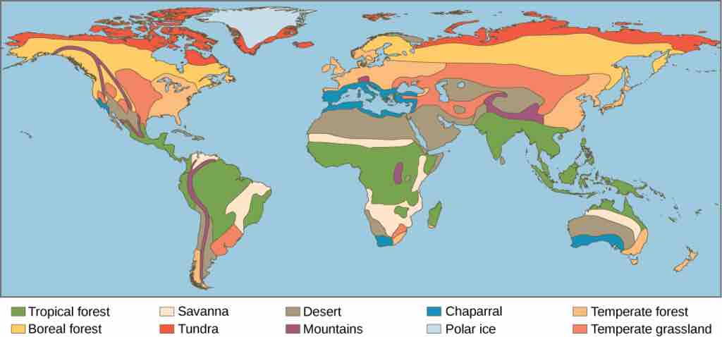 Earth's Major Biomes