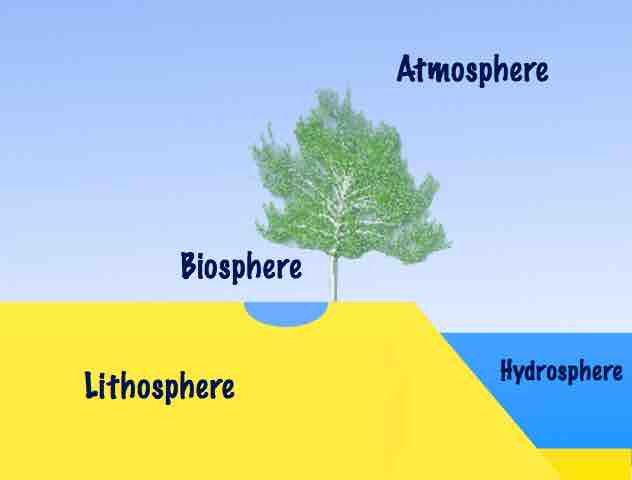 Importance of the hydrosphere