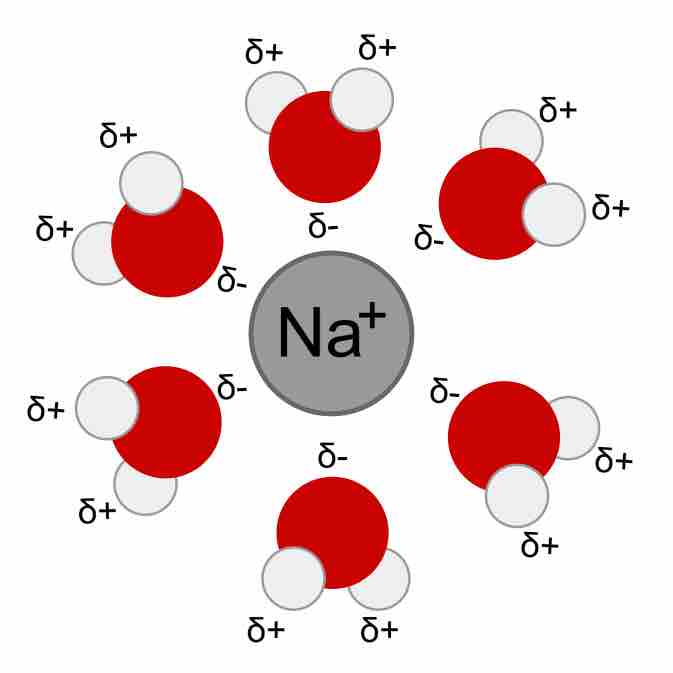 Hydrated Na<sup>+</sup>H<sub>2</sub>O cation