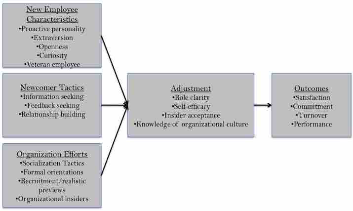 Organization Socialization Model