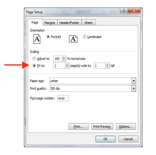 Image of Page Setup box in Excel, Fit to 1 page