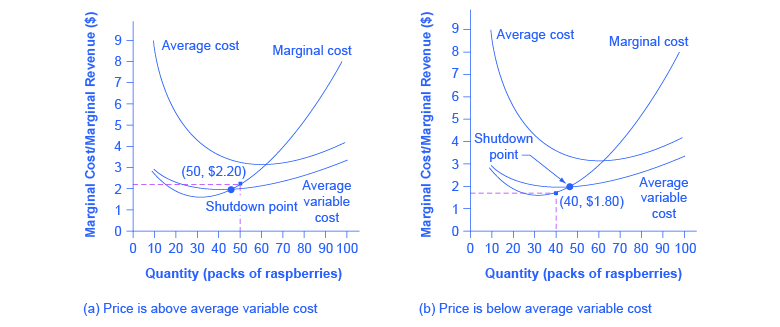 The graphs show that despite negative profits (i.e. losses), firms can continue to operate.