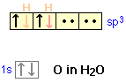 Image of the four sp3 orbitals in water