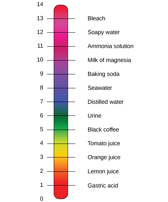 The pH scale with representative substances and their pHs