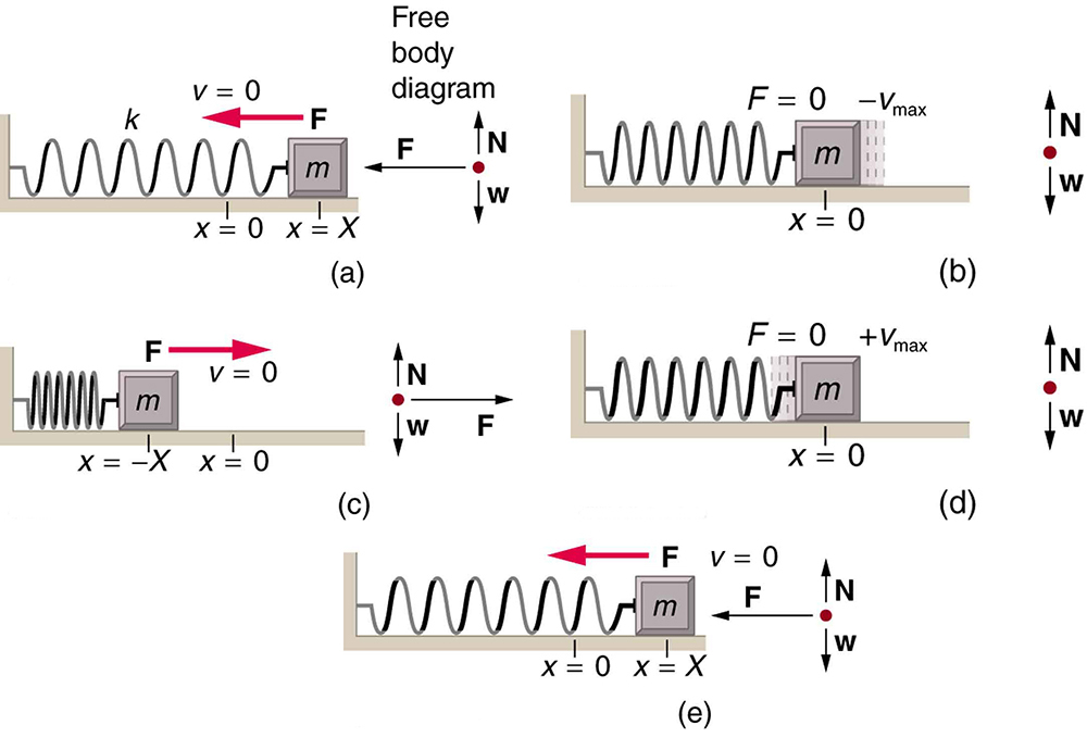 A free body diagram of a spring sliding on a frictionless surface, an uncomplicated simple harmonic oscillator.
