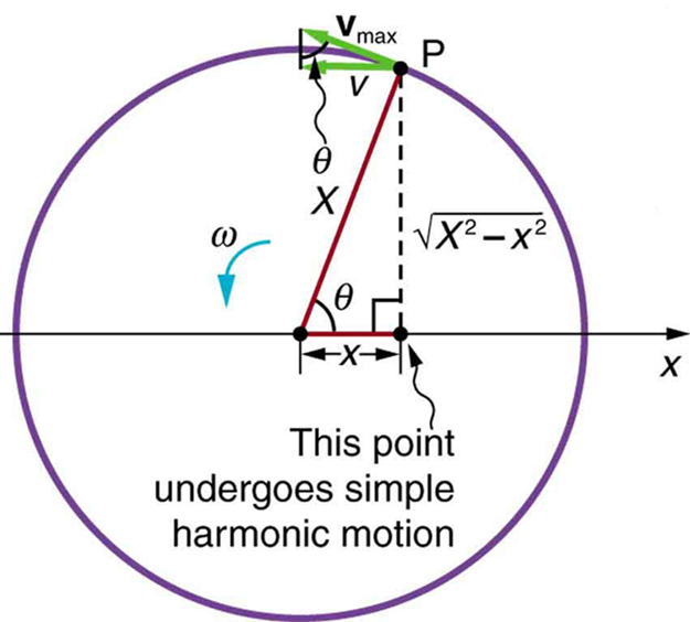 Image of a circle with a point P moving on the circular path with constant angular velocity.