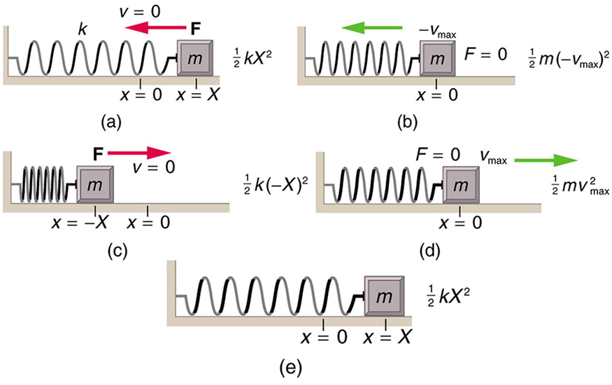 Five diagrams of springs on a frictionless surface to illustrate simple harmonic motion.