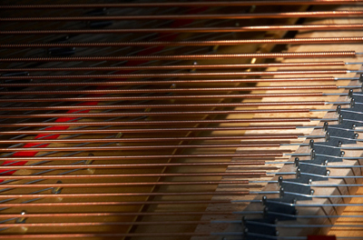 Photo of the strings of a piano.
