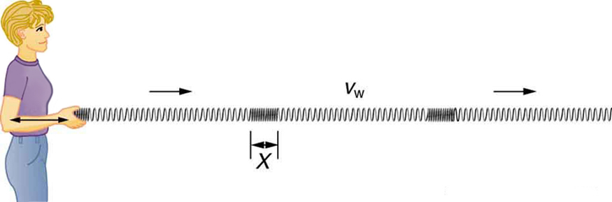 Image a woman moving a slinky with a longitudinal wave.
