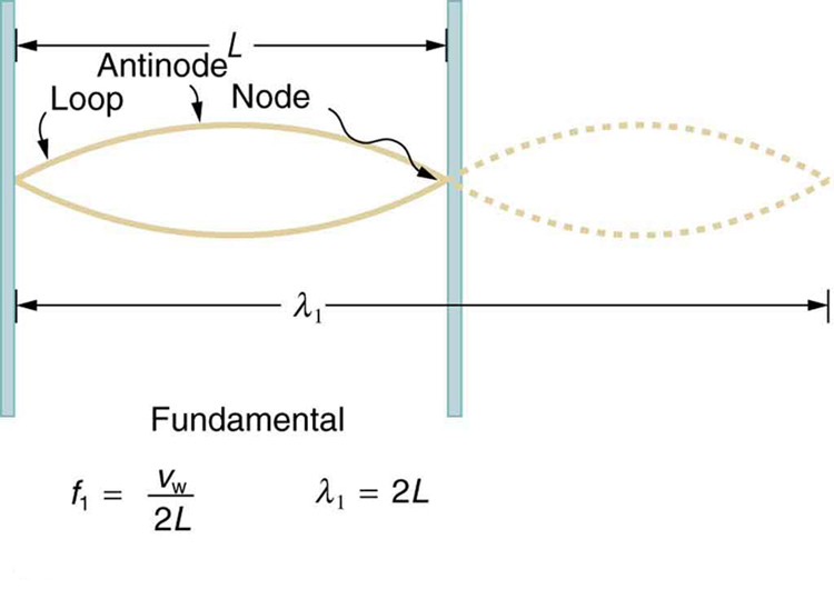 Image of a string oscillating at its fundamental frequency.