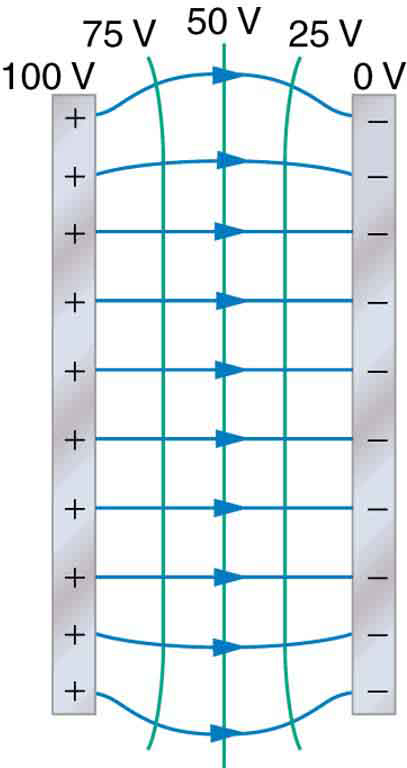 Image of two metal plates with an electric field and equipotential lines between them. 