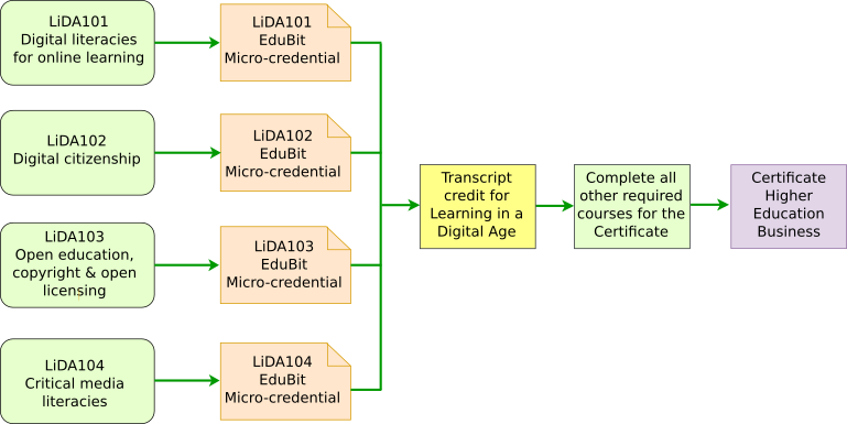 LiDA - Miro-Credential Pathways.png