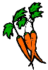 Carrots.gif