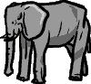 elephant-vt.gif