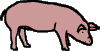 pig-vt.gif